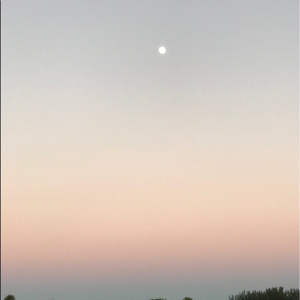 Meet your Posher, Isabella